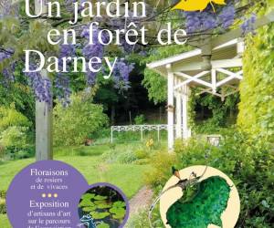 UN JARDIN EN FORËT DE DARNEY